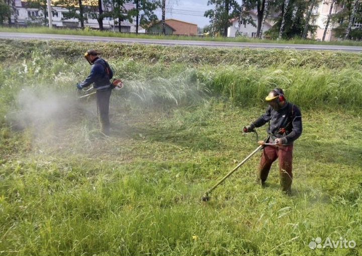 Благоустройство участка