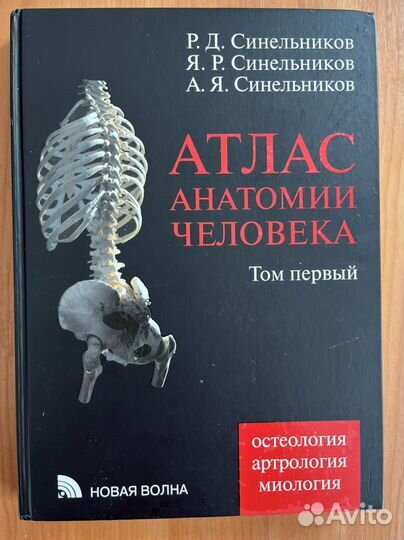 Атлас анатомии человека Синельников
