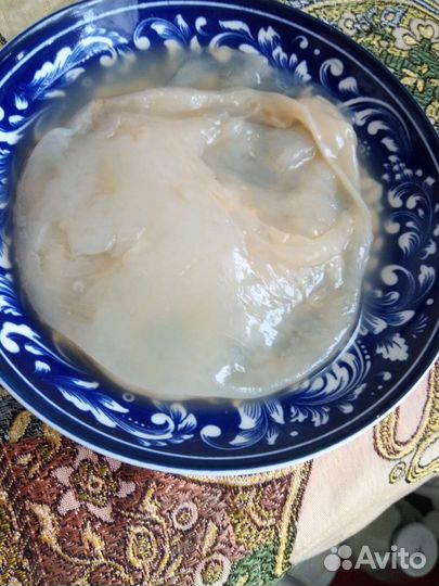 Домашний яблочный уксус