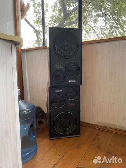 Акустическая система 25ас 309