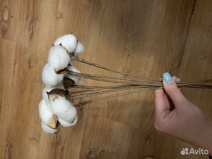 Хлопок сухоцвет