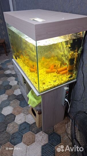 Аквариум с тумбой 250 литров