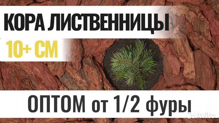 Мульча из коры лиственницы большая 10+ см Оптом