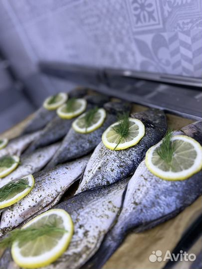 Свежая рыба Дорадо Сибас