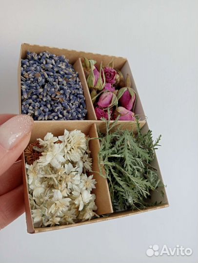 Сухоцветы для творчества