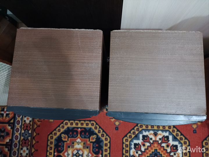 Акустическая система Вега 50ас-106