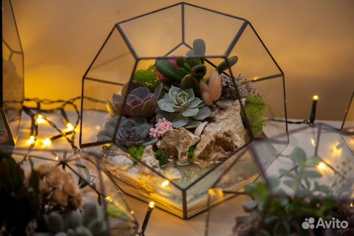 Подарок на 1 сентября. Флорариум учителю