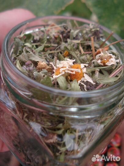 Чай из дикоросов и чайные лесные,луговые травы