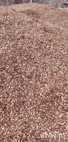 Кедровая шелуха от шишки удобрение Доставка