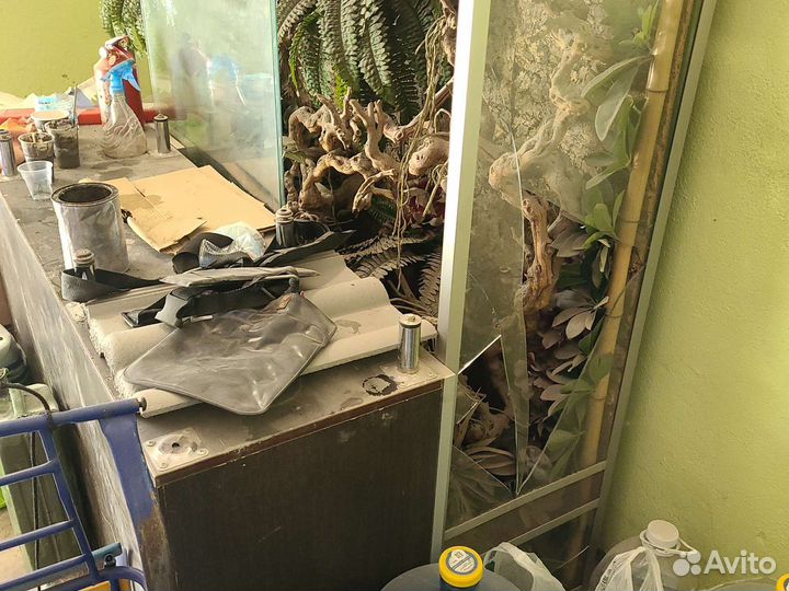 Террариум для рептилий