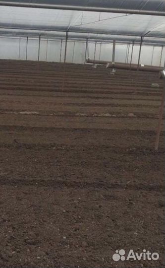 Вспашка огорода мотоблоком