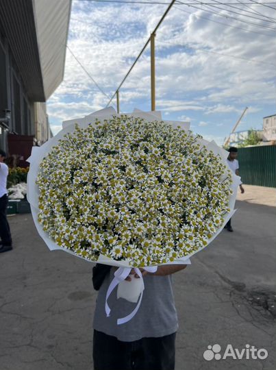 Букеты из ромашек