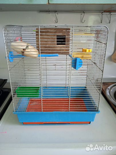 Клетка для птиц, колесо для грызунов