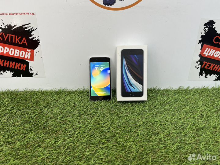 iPhone SE (2020), 64 ГБ