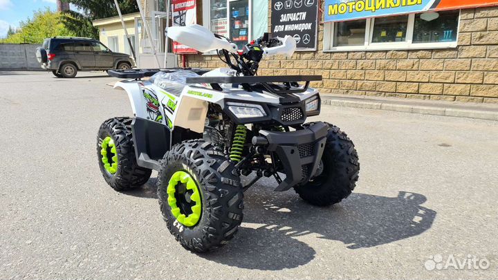 Motoland Wild Bassic125 (2023)