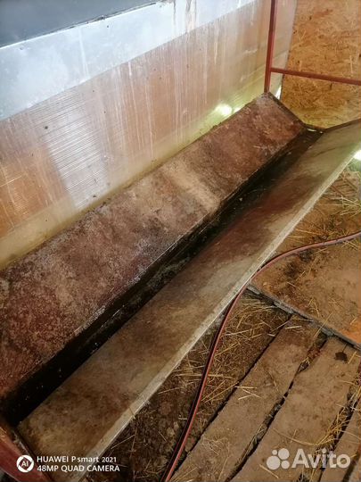 Клетки для кроликов бу