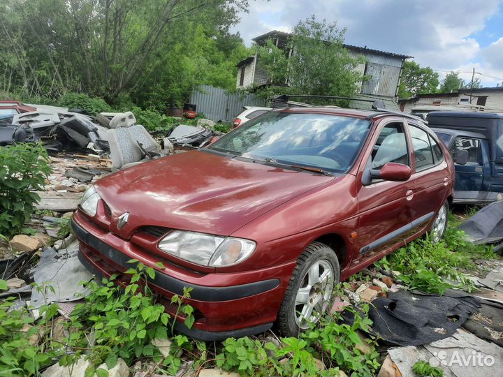 Разбор Рэно Меган