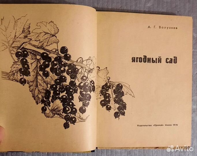 Ягодный сад. Анатолий Волузнев