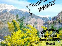 Гастрономический тур в абхазию март 2023