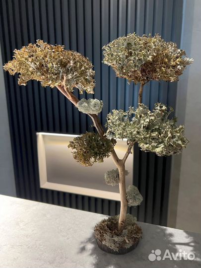 Дерево на кухню