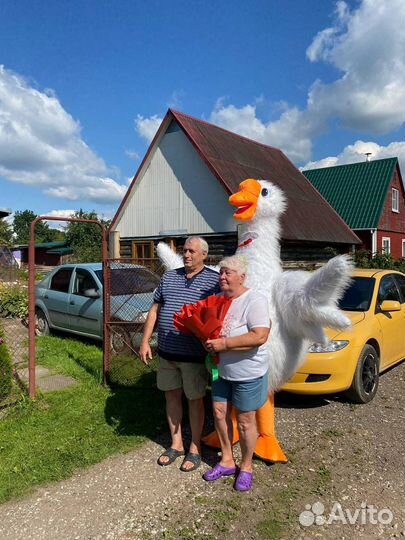 Ростовой костюм гусь 2 m