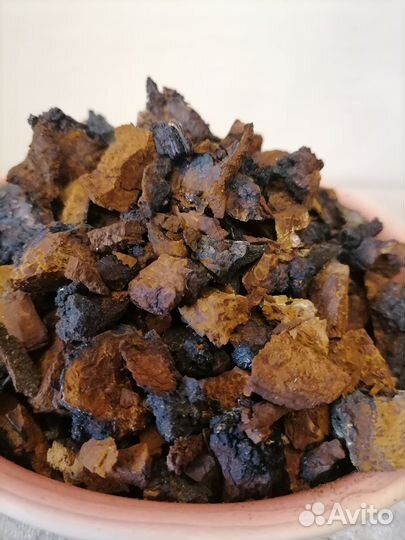 Березовый гриб чага