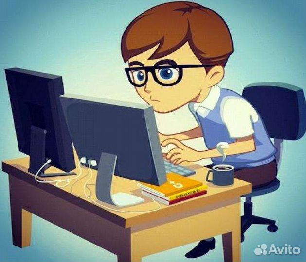 Программист python