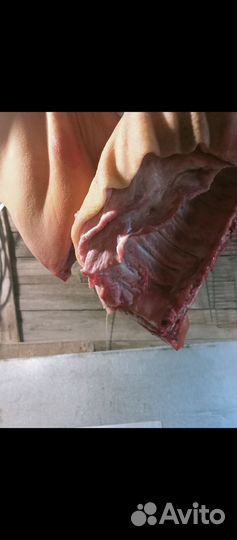 Домашняя свинина