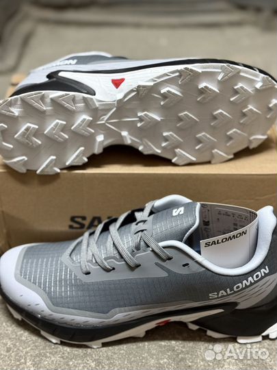 Кроссовки мужские salomon alphacross 5