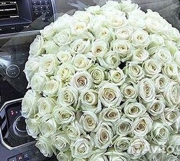 101 Роза Цветы Букеты 51 25 Роз Доставка