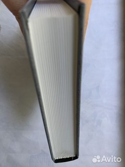 Книга внеклассное чтение Б.Акунин