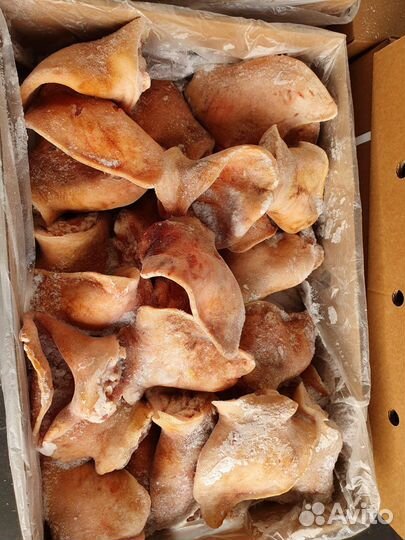 Уши свиные замороженные