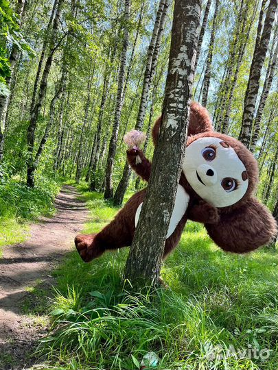 Чебурашка поздравление