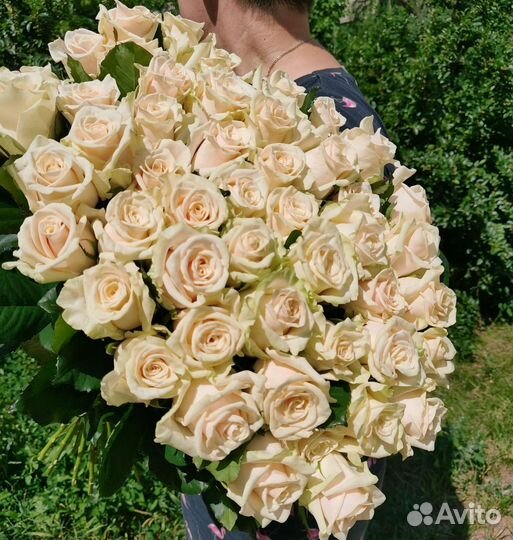 Розы 101, 51, любое количество