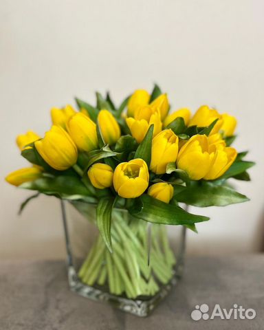 Тюльпаны интерьерные