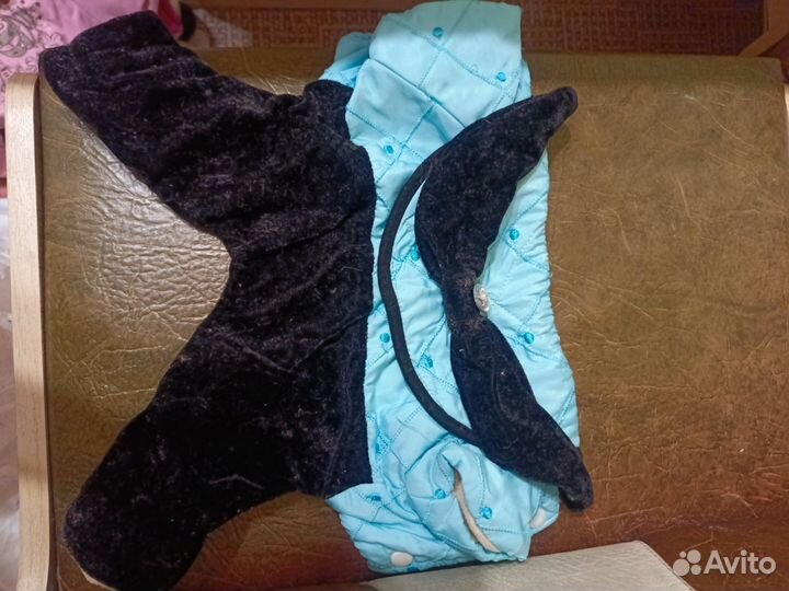 Одежда для собак