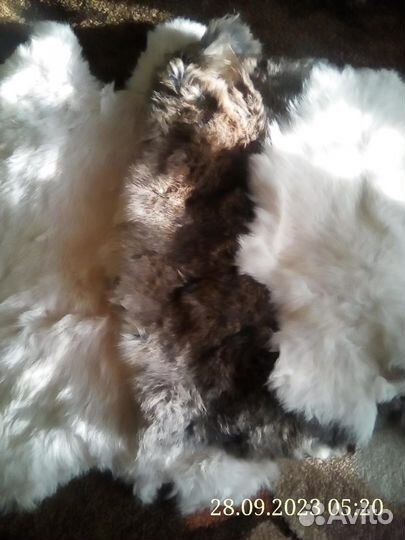 Шкурки кролика