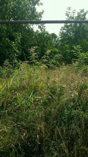 Участок 15 сот. (ИЖС)