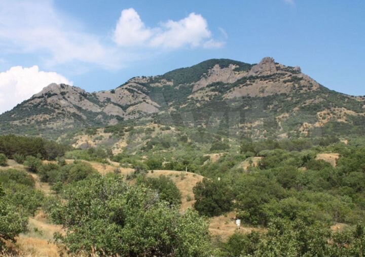 Участок 16 сот. (ИЖС)