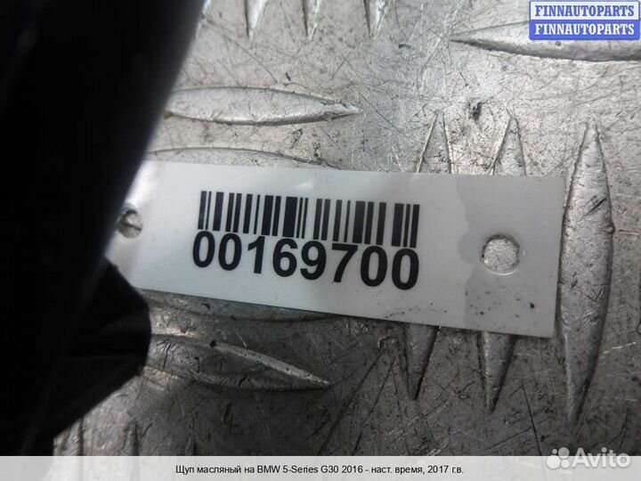 Щуп BMW 5 (G30), 2017 2.0 Дизель