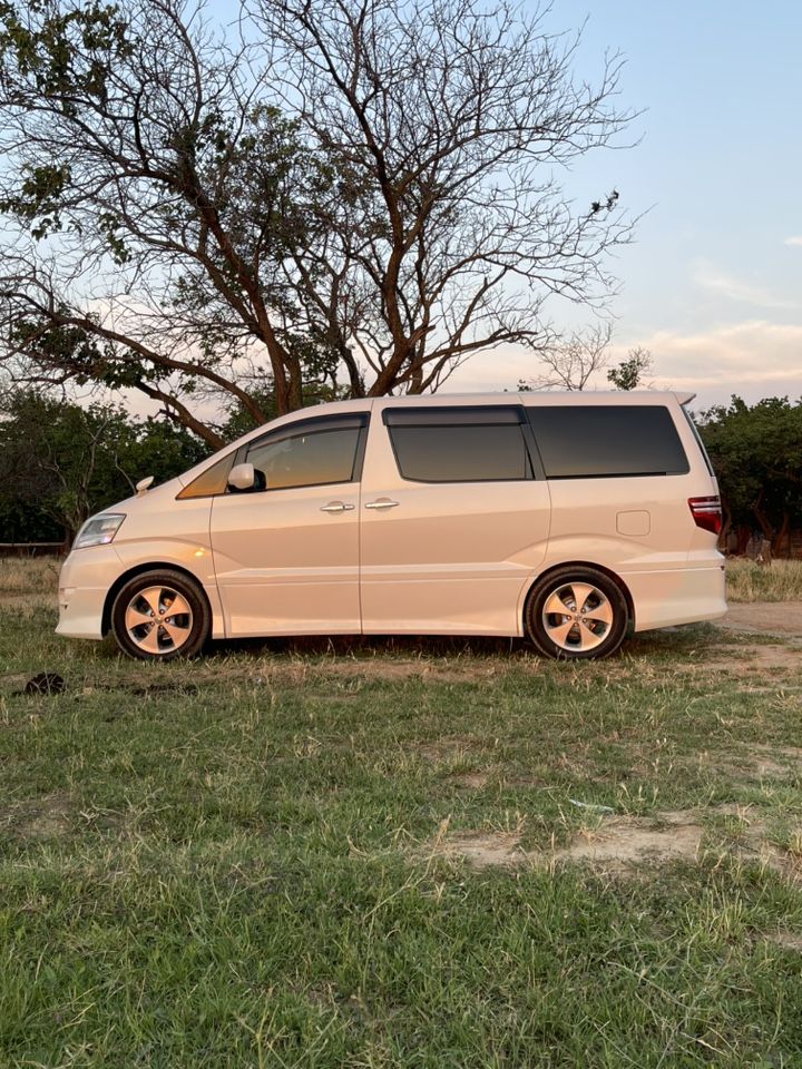 Toyota Alphard: фото владельца