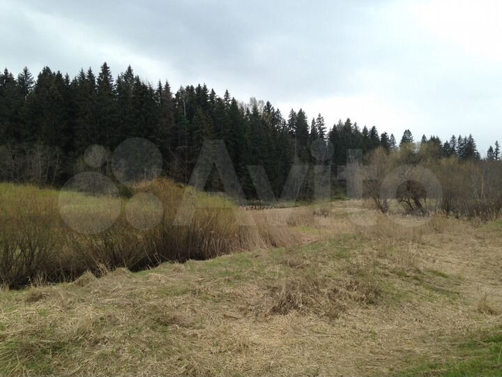 Участок 37,5 сот. (СНТ, ДНП)