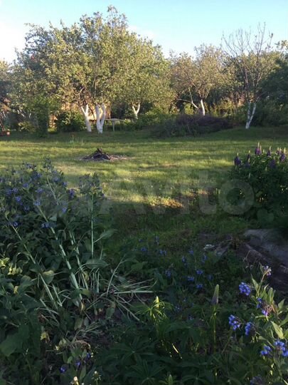 Дача 20 м² на участке 6 сот.