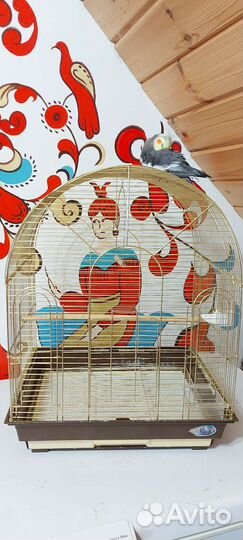 Клетка для птиц, попугая