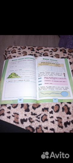 Рабочая тетрадь по окружающему миру 2 класс