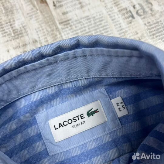 Мужская рубашка с длинным рукавом Lacoste, оригина