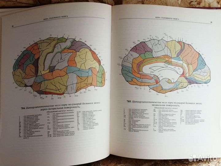 Атлас анатомии человека синельников 1974
