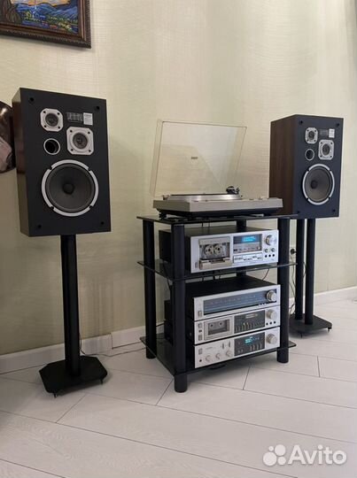 Pioneer blue series
