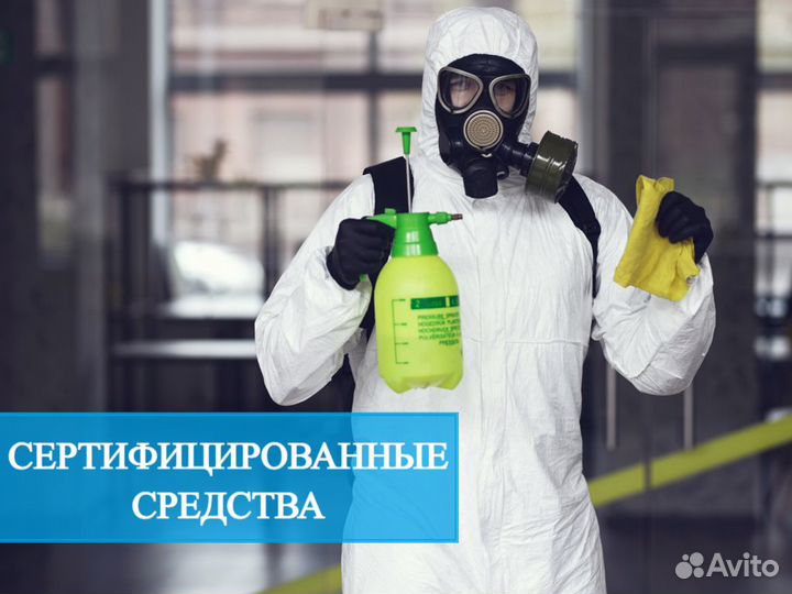 Уничтожение тараканов клопов грызунов Дезинфекция