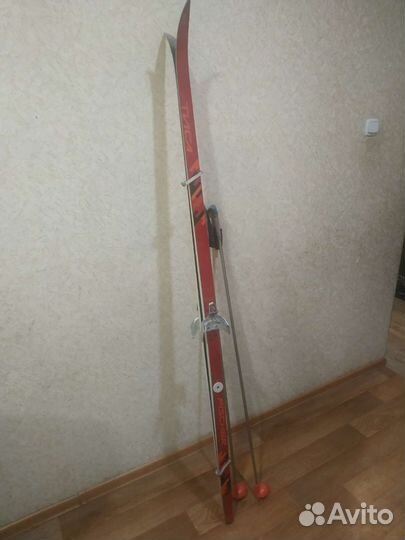 Беговые лыжи тиса